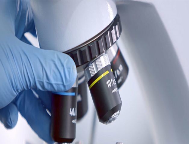 Capacidad superior del R&D